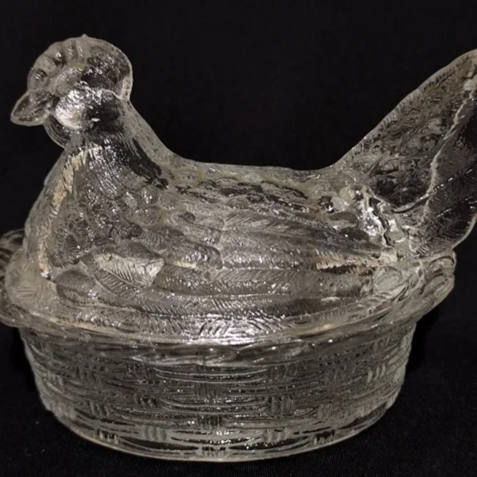 leilão quadrado (28)