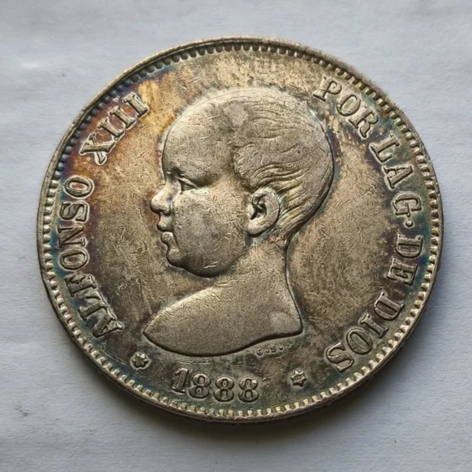 leilão quadrado (31)